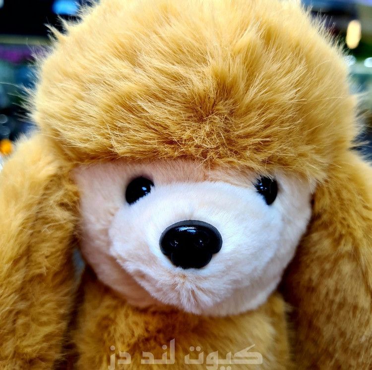 عروسک پولیشی سگ اشرافی اورجینال | عروسک سگ نرم و بامزه
